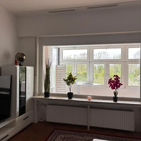 Schöne Am Dümmersee *