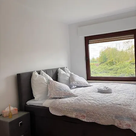 Schöne Am Dümmersee *